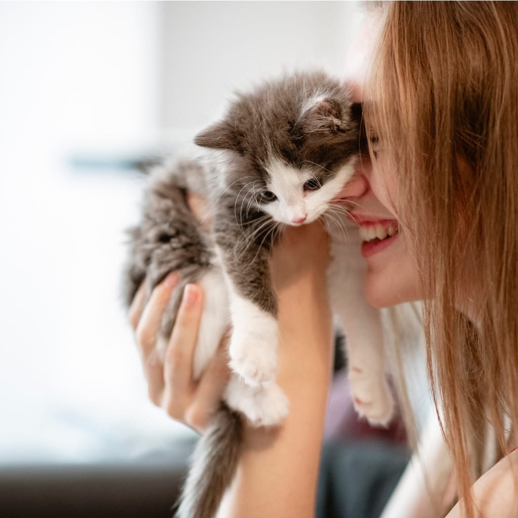veterinarian in Attleboro: woman holding kitten